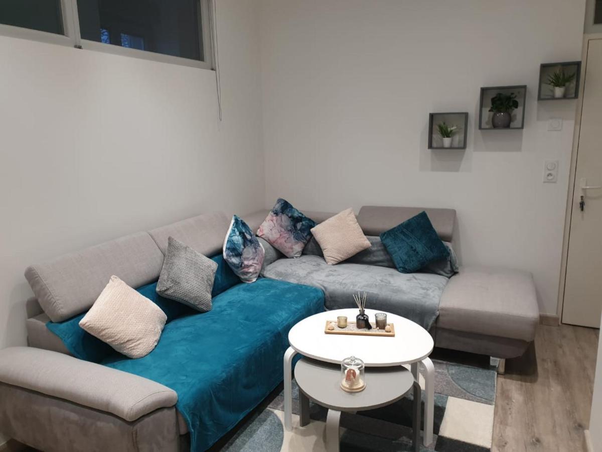 Appartement Cosy Et Chaleureux 隆勒索涅 外观 照片