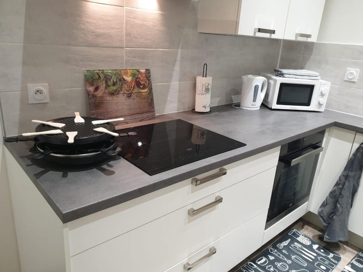 Appartement Cosy Et Chaleureux 隆勒索涅 外观 照片